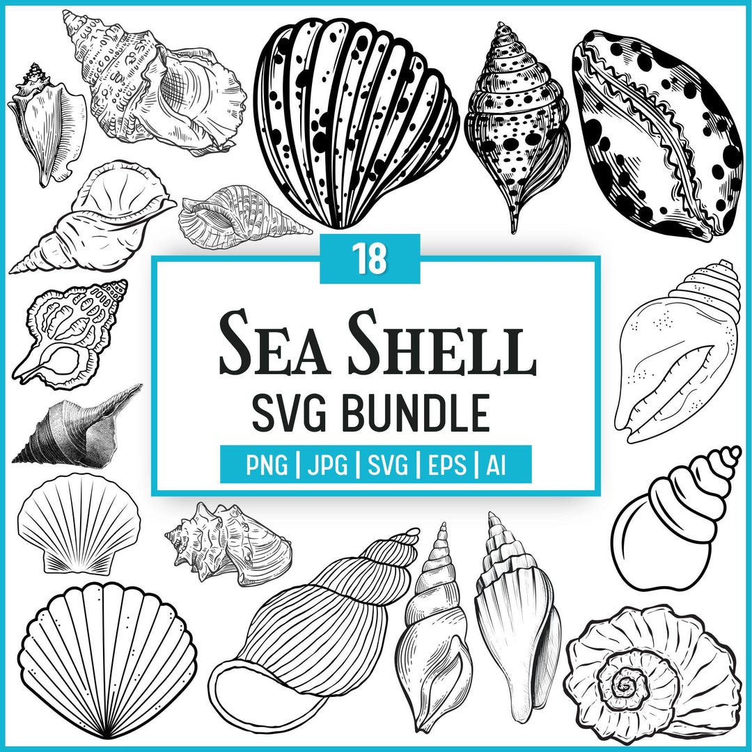 Open Sea Shell Writeable Seashell SVG Bundle: Clipart, PNG, Cut Files for Cricut (digital ...