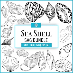 Seashell SVG Bundle: Clipart, PNG, Cut Files for Cricut (Digital Download)