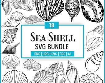 Seashell SVG Bundle: Clipart, PNG, Cut Files for Cricut (Digital Download)