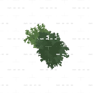 Architectural Tree Vector Pack Vol.1 – Plan View Trees Illustrator - Etsy