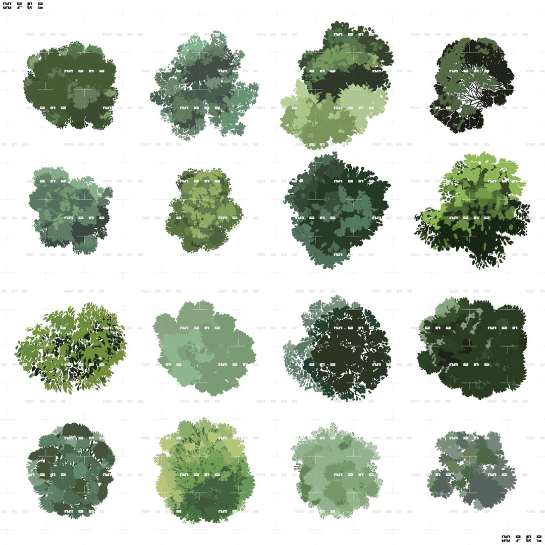 Architectural Tree Vector Pack – Stylised Plan Illustrations (adobe ...