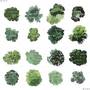 May include: A collection of sixteen overhead illustrations of trees, showcasing various shapes and shades of green. The trees are depicted with varying densities of foliage, ranging from light to dark green, and are arranged on a white background.