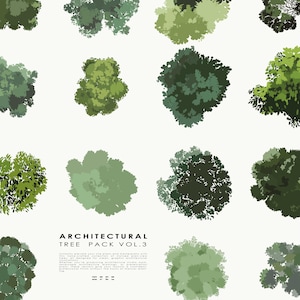 Arkitektoniskt trädvektorpaket vol.3 – Planvyträd Illustrator