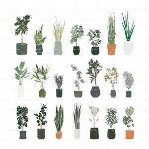 Peut inclure: Illustration de diverses plantes en pot. Les plantes sont représentées dans des tons de vert, avec des pots aux couleurs neutres. L'image a une esthétique épurée et minimaliste, adaptée à la décoration intérieure ou aux thèmes botaniques.