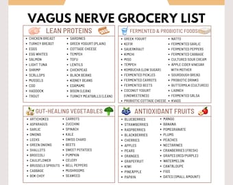Liste d'aliments pour le nerf vague | Aliments stimulant le nerf vague | Régime de l'axe intestin-cerveau | Soutien du système nerveux parasympathique | Régime pour le nerf vague