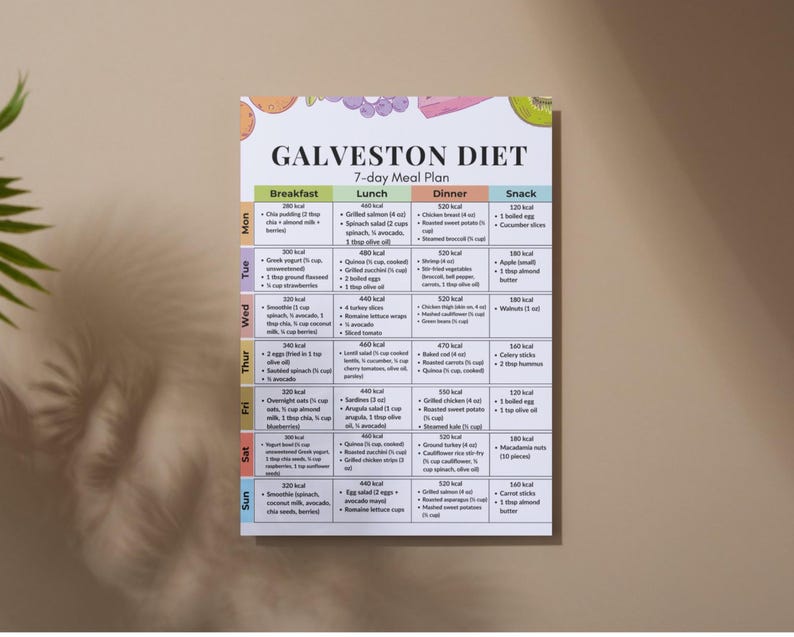 以下が含まれることがあります： 「Galveston Diet」と題された印刷された食事プランで、7日間の食事プランがあります。 プランは朝食、ランチ、ディナー、スナックのセクションに分かれています。 プランには、さまざまな食品と各食事のカロリー数が含まれています。