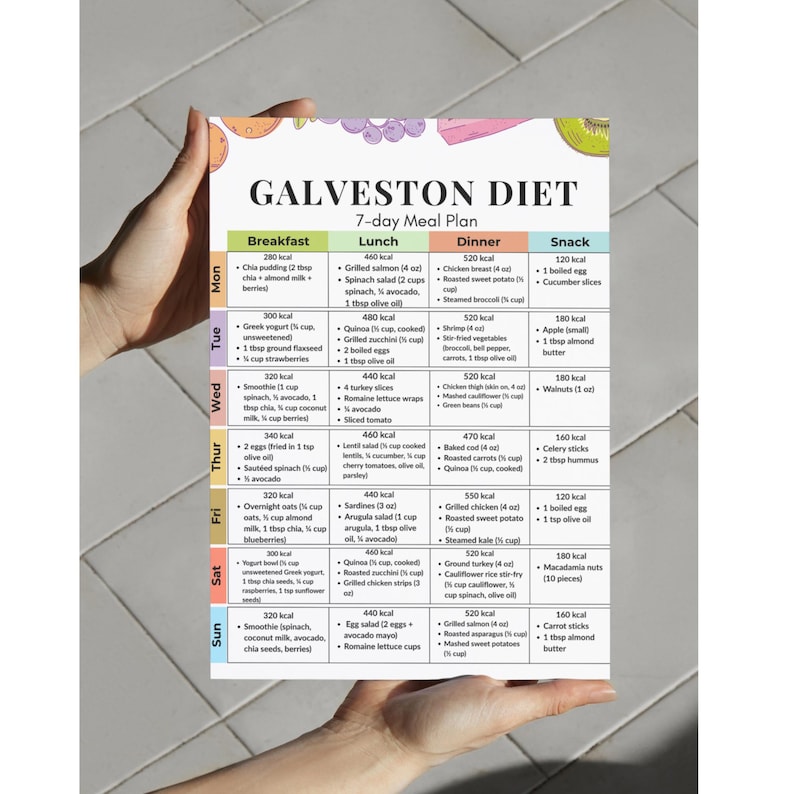 以下が含まれることがあります： 「Galveston Diet」と題された、印刷されたカラフルな食事プランを手に持っています。 7日間のプランには、朝食、昼食、夕食、軽食のオプションとカロリー数が記載されています。 プランには、チアプディング、グリルサーモン、ゆで卵などのさまざまな食品が含まれています。