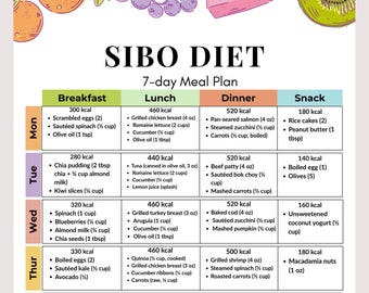 7-Day SIBO Meal Plan PDF | Low-FODMAP Gut-Friendly Weekly Menu for Bloating Relief | Printable Anti-Bloat Diet Planner | Instant Download