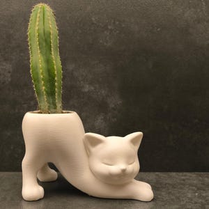 Puede incluir: Una maceta blanca con forma de gato con un cactus verde. El gato está en posición de estiramiento, con los ojos cerrados. Un artículo decorativo único para el hogar o la oficina.