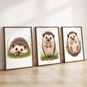 Hedgehog Wall Art Set of 3 | Cute Woodland Animal Prints | Nursery Decor | Pygmy Hedgehog