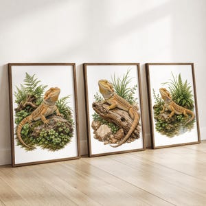 Bearded Dragon Wall Art Set of 3 Reptile Prints Lizard Exotic Animal Beardie Print
