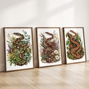 May include: Three framed wall art prints featuring detailed botanical illustrations of snakes. The first shows a brown and black patterned snake with eucalyptus, the second a red and black snake on wood, and the third a red snake on a log.