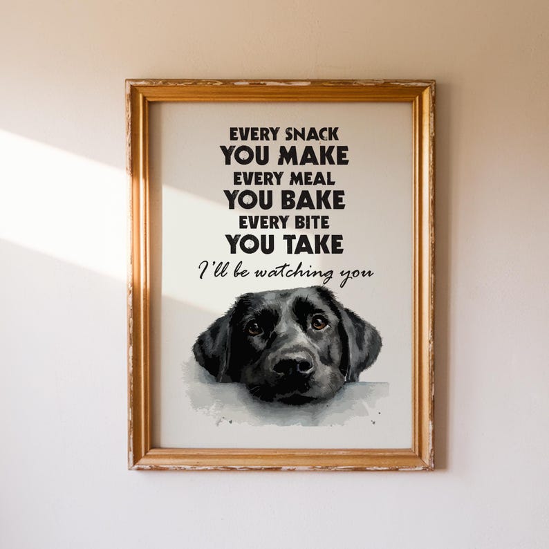 May include: Framed print with a gold-colored wooden frame. The print features a black Labrador Retriever illustration and the text: "EVERY SNACK YOU MAKE, EVERY MEAL YOU BAKE, EVERY BITE YOU TAKE, I'll be watching you."