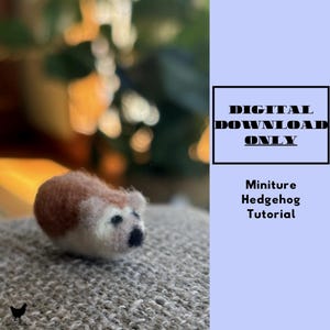 Könnte beinhalten: Ein nadelgefilzter Miniatur-Igel mit braunem Rücken und cremefarbenem Gesicht, mit schwarzer Nase und Augen. Das Bild enthält eine hellblaue Seitenleiste mit dem Text DIGITAL DOWNLOAD ONLY und Miniture Hedgehog Tutorial.