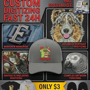 Custom Embroidery Digitizing Service: Logo to DST PES JEF File (Digital File Only)