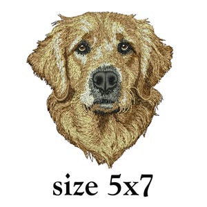 Könnte beinhalten: Gesticktes Bild eines Golden Retriever-Gesichts, mit detaillierten Stichen in Gold- und Brauntönen. Der Hund hat dunkle Augen und eine schwarze Nase. Der Text "size 5x7" befindet sich darunter.