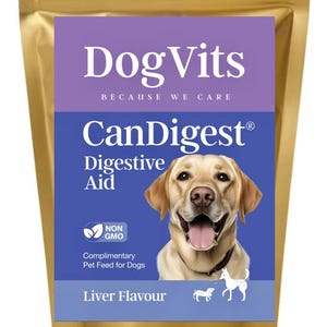 DogVits® CanDigest® Probiotic Dog Digestive Aid | Anti-inflammatory | Non GMO | All Natural | Eco Friendly Packaging