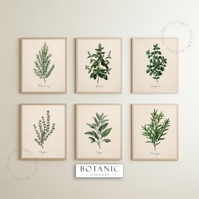 Vintage Kitchen Herbs Prints Set of 6 | Printable Digital Download ...