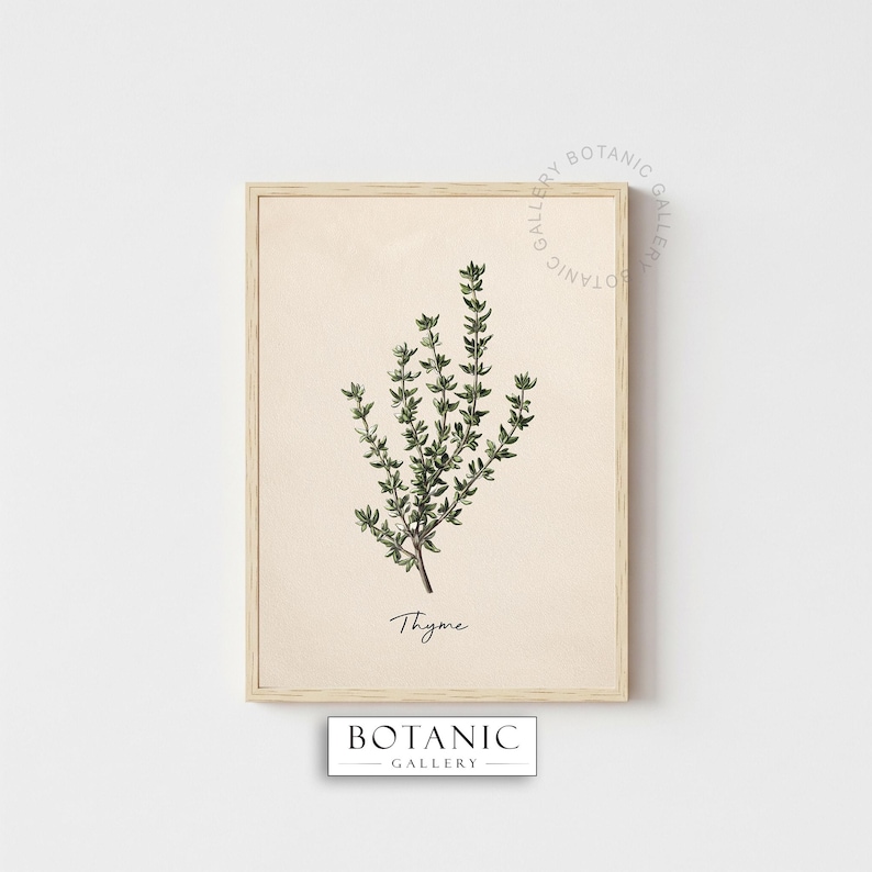 Vintage Kitchen Herbs Prints Set of 6 | Printable Digital Download ...