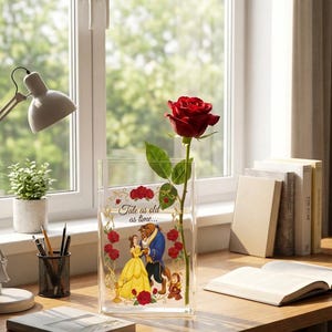 Skönheten och odjuret, julvas i akryl, romanvas i akryl, klassisk bokvas, bokformad blomvas, boklig present. bild 3