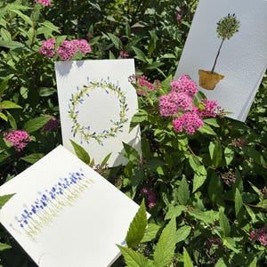 Original watercolor, not a print, blank greeting cards, hand painted, made to order, set of 3, wedding, birthday, sympathy, bridal shower