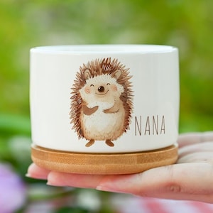 Personalized Hedgehog Mini Planter, Cute Watercolor Animal Pot with Custom Name, Succulent Gift for Her, Nana Gift, Nursery Desk Decorations