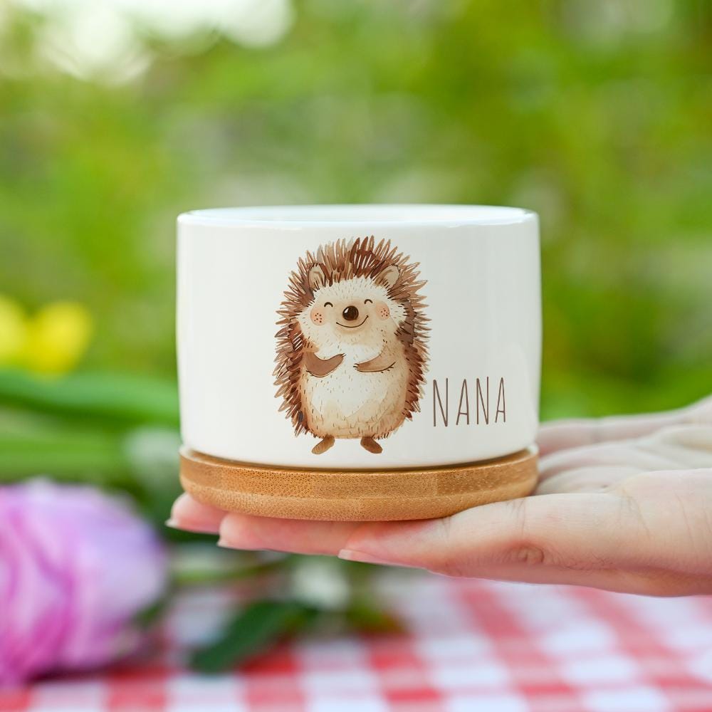 Hedgehog Planter UK