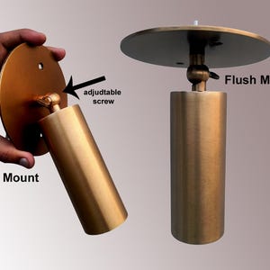 May include: Two brass-colored light fixtures, one labeled "Wall Mount" and the other "Flush Mount." The wall mount is held by a hand, showing an adjustable screw. The flush mount has a circular top.