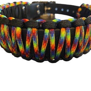 Black biothane dog collar with rainbow and black paracord and nickle plated hardware