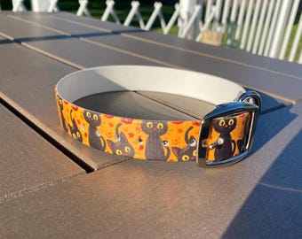 Black Cat Magic Biothane Dog Collar