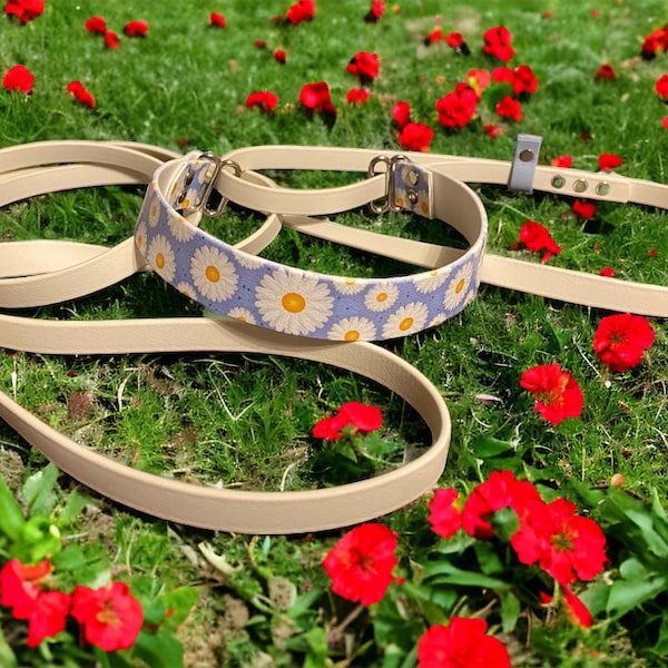 Daisy printed biothane martingale collar and leash combo