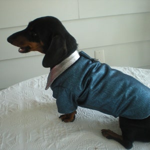 iridescent blue denim dog jacket