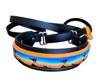 martingale collar leash combo - printed biothane