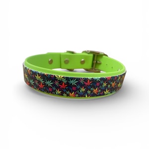 May include: A bright green dog collar with a black band featuring a colorful cannabis leaf pattern. The collar has a gold-colored metal buckle and hardware. The collar is designed for pets.