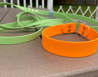 orange and green biothane martingale dog collar and leash combo
