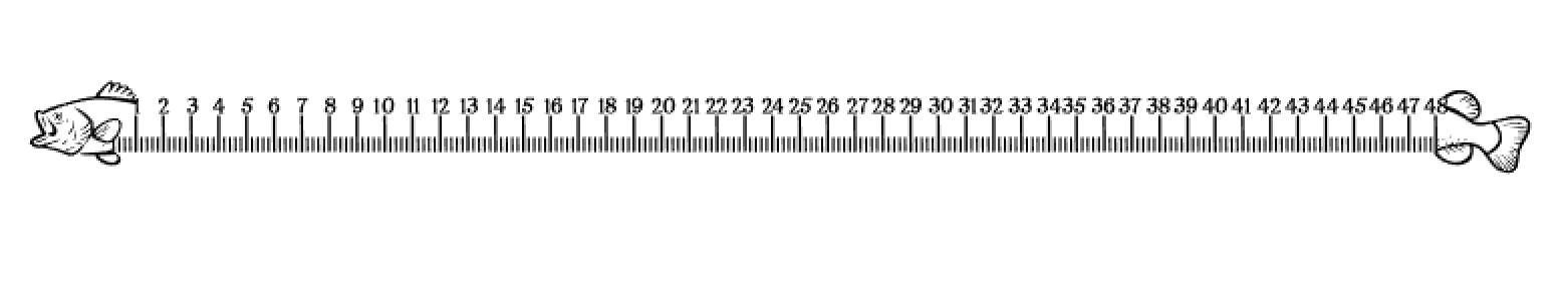 24 Inch Ruler SVG