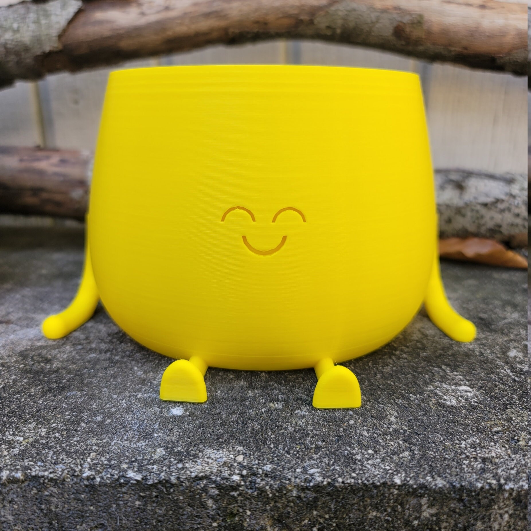 Sitting Happy Flower Pot or Candy Dish, Cute Plant Pot, Face