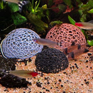 Könnte beinhalten: Drei kuppelförmige Aquariendekorationen mit einer hohlen, netzartigen Gitterstruktur in Hellblau, Korallenrosa und Schwarz, platziert auf einem sandigen Untergrund zwischen grünen und roten Wasserpflanzen und mehreren kleinen Fischen.