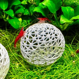 May include: Two bright red cherry shrimp crawl on a spherical, white, 3D-printed plastic structure with a complex, open-lattice, web-like pattern. The object is positioned among vibrant green aquatic plants and thin, grass-like vegetation.