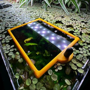 Floating Rectangular Aquarium Ring with Holder | Plant & Feeding Ring with Suction Cup | Fixed Position for Floating Plants and Feeding
