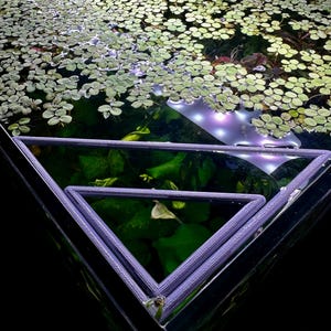 May include: A triangular aquarium with a lilac frame, filled with aquatic plants and floating green leaves. The water reflects light, creating a vibrant underwater scene. The design features a nested triangle structure.