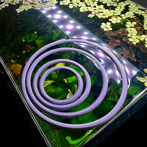 May include: A light purple, three-dimensional spiral object with a ribbed texture, consisting of four concentric circles of varying diameters. The object is positioned on the surface of a rectangular aquarium filled with green aquatic plants.