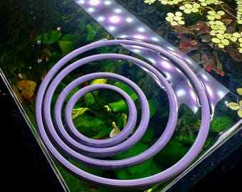 Schwimmender Aquarienring | Pflanzen und Futterring für Aquarium | Für Schwimmpflanzen & Futterplatz | In mehreren Größen