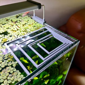 Floating Rectangle Aquarium Ring | Feeding & Floating Plant Ring | For Clean Feeding Zones and Plant Control | Multiple Sizes