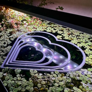 Floating heart-shaped aquarium ring | Feeding & Plant Ring | Ideal for containing floating plants and creating a clean feeding area