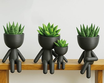 Decorative Family Succulent Planter
