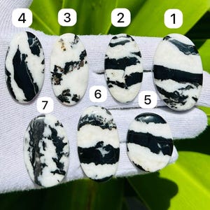 Puede incluir: Siete piedras preciosas ovaladas de jaspe cebra con patrones únicos en blanco y negro. Las piedras se muestran sobre un guante blanco, con un fondo de hojas verdes. Cada piedra tiene una superficie pulida, mostrando las variaciones naturales.