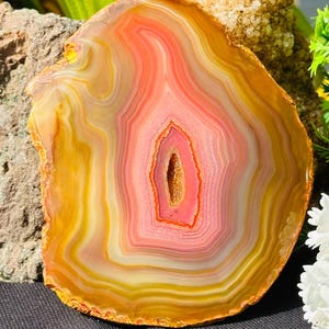 Può includere: Una fetta di agata lucidata caratterizzata da bande concentriche nei colori vivaci arancione, giallo e crema. Il centro della pietra presenta una piccola cavità allungata con un interno rosa intenso, circondato da strati di anelli minerali opachi.