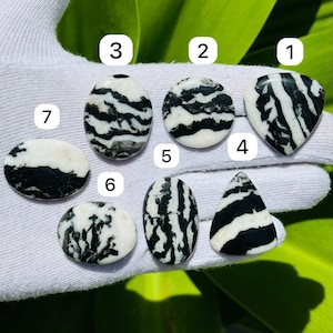 Puede incluir: Colección de siete piedras preciosas de jaspe cebra en varias formas, incluyendo ovaladas, de lágrima y triangulares. Las piedras presentan un llamativo patrón de rayas blancas y negras, similar a las rayas de una cebra. Las piedras preciosas se muestran sobre una superficie blanca.