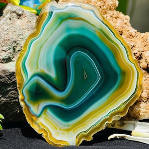 May include: A polished agate slice featuring concentric bands of deep teal, forest green, and vibrant yellow. The translucent stone displays a smooth, organic shape with distinct color layering that transitions from a dark center to a bright outer edge.